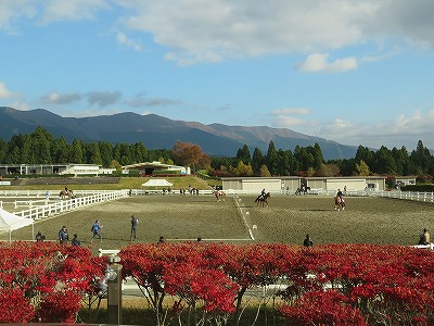 とにかく、強制が馬をダメにする