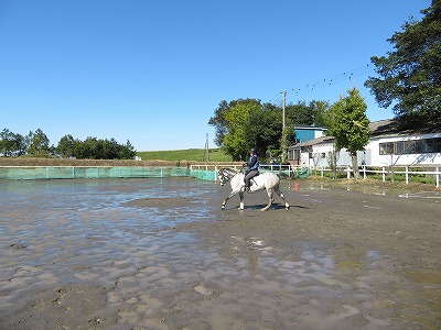 素晴らしい、ありがとう