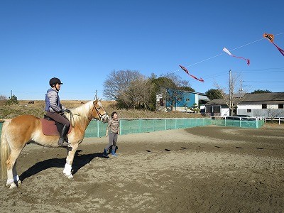 ナチュラルホースマンシップで馬と遊ぼう！