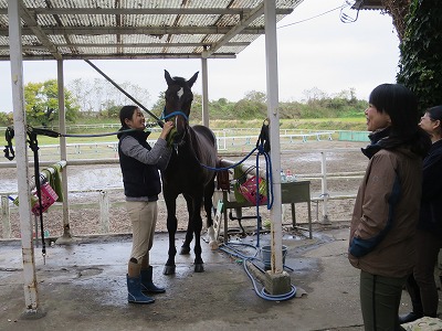 乗馬で幸せな一日