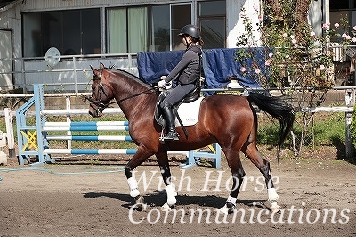 乗馬は馬と一緒に