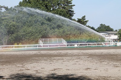 自立して馬に乗れるようになる