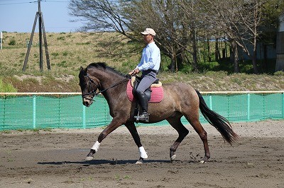 馬が納得してること