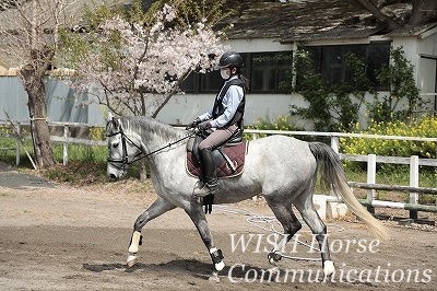 人生が変わる乗馬