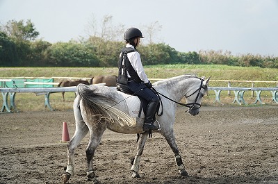 馬との一体感に感動！