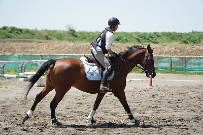 いいバランス。ちょっと手が強いかな。