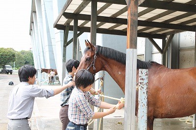 関東高等学校馬術選手権大会