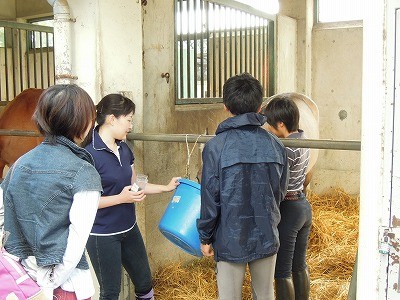 馬術競技会二日目