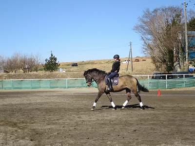 乗馬体験