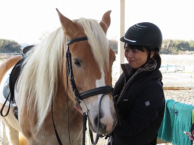 馬の愛情を感じられる乗馬です