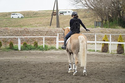 馬術経路練習