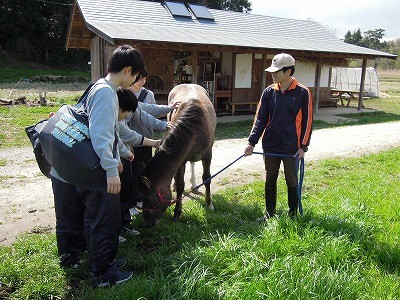 馬とお散歩