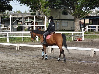 乗馬歴一ヶ月