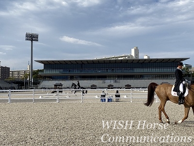 全日本馬場馬術大会