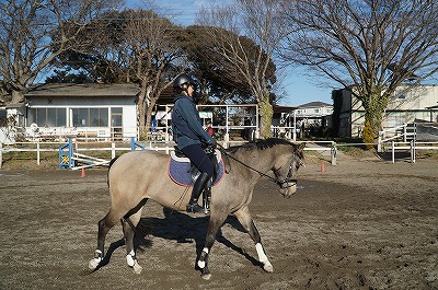 馬のサプルネス