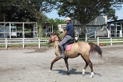 モカちゃんもいい馬の仲間入り