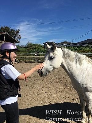 馬は健康が大事だ！