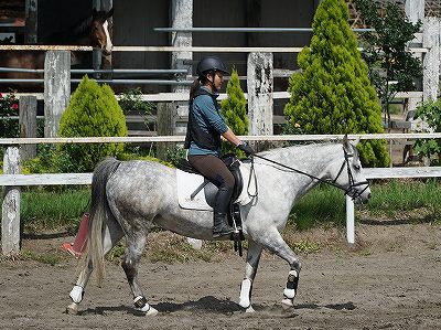 どんな乗馬がしたいのか
