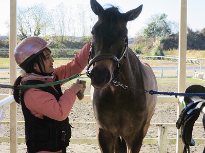 馬と仲良く手入れ