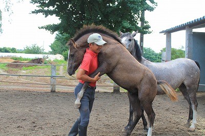 馬と踊ろう