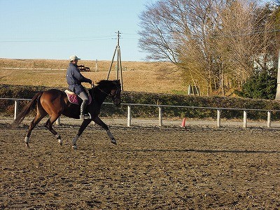 馬場調子いいです