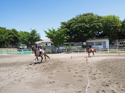 馬を愛する乗馬