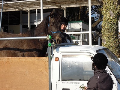 何が正しいかは馬が教えてくれるよ