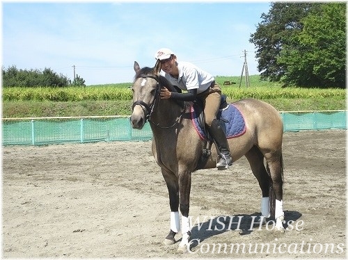 千葉県柏エリアの乗馬クラブウィッシュホースコミュニケーションズの体験乗馬