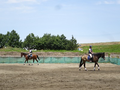 馬に乗るのは実は簡単なこと