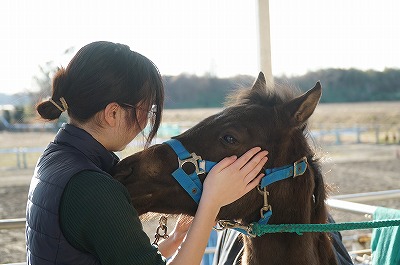 本当に馬が好きなら当たり前のこと