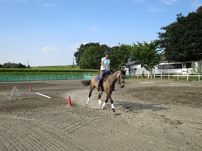 馬が証明する愛情乗馬