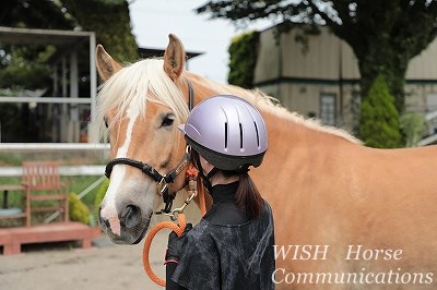 乗馬の練習