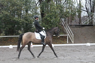 ウィッシュホースコミュニケーションズ競技会