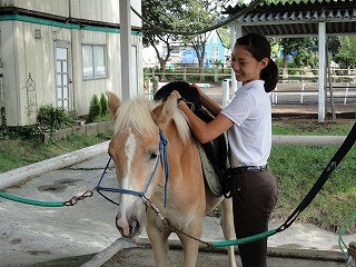 馬と遊ぶ♪