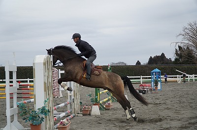 人も馬も経験経験！