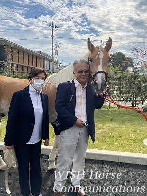 全日本馬場馬術大会
