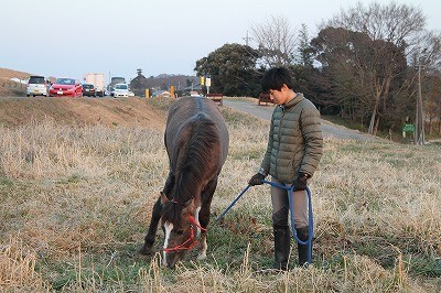 夕焼け色の乗馬