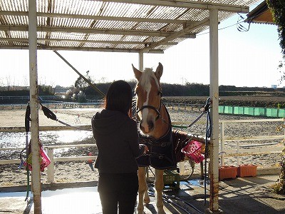 今日の体験乗馬