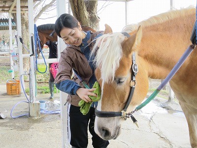 体験乗馬で馬とのふれあい