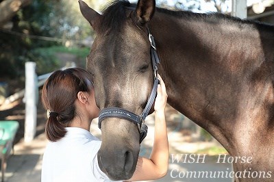 馬の気持ちを大切にする