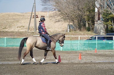 乗馬上達の秘訣