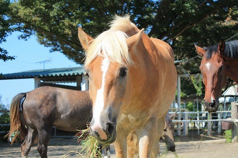 馬達のくつろぎタイム
