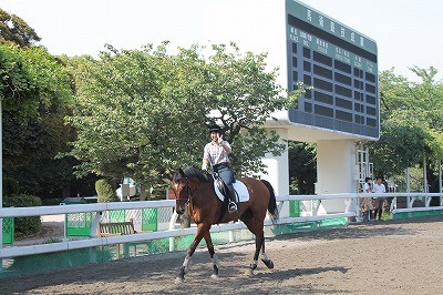 自立して馬に乗れるようになる