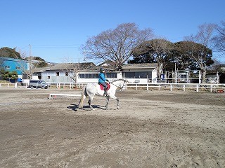 馬とのコミュニケーション
