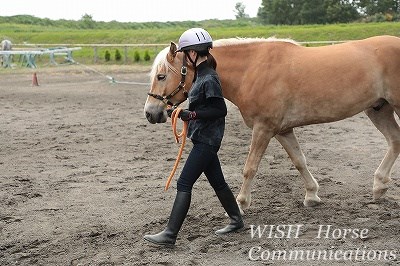 乗馬の普段練習