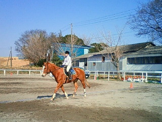 将棋と乗馬