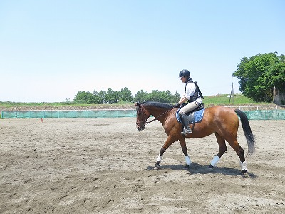 馬が楽で動きやすい正しい筋肉を使ってもらう