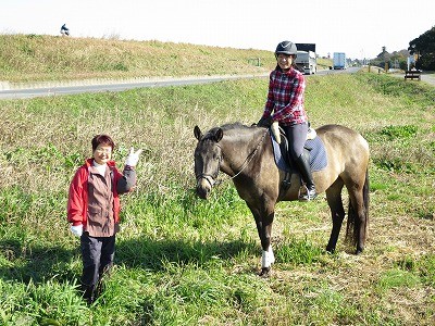 馬は子育てと同じ