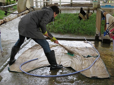 乗るだけじゃ物足りない！