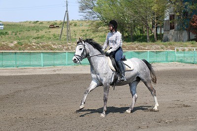 馬と気持ちを一つに